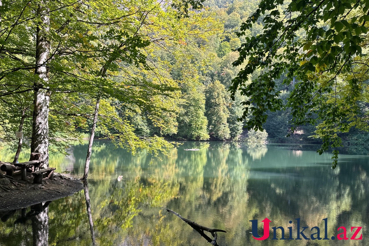 Adı "qara", özü cənnət - FOTOLAR